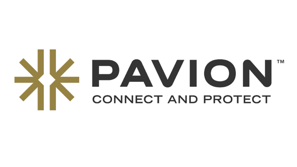 Pavion - “Pillars” of M&A success 